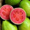 Manfaat Jambu Biji untuk Kesehatan: Superfood Tropis yang Penuh Khasiat